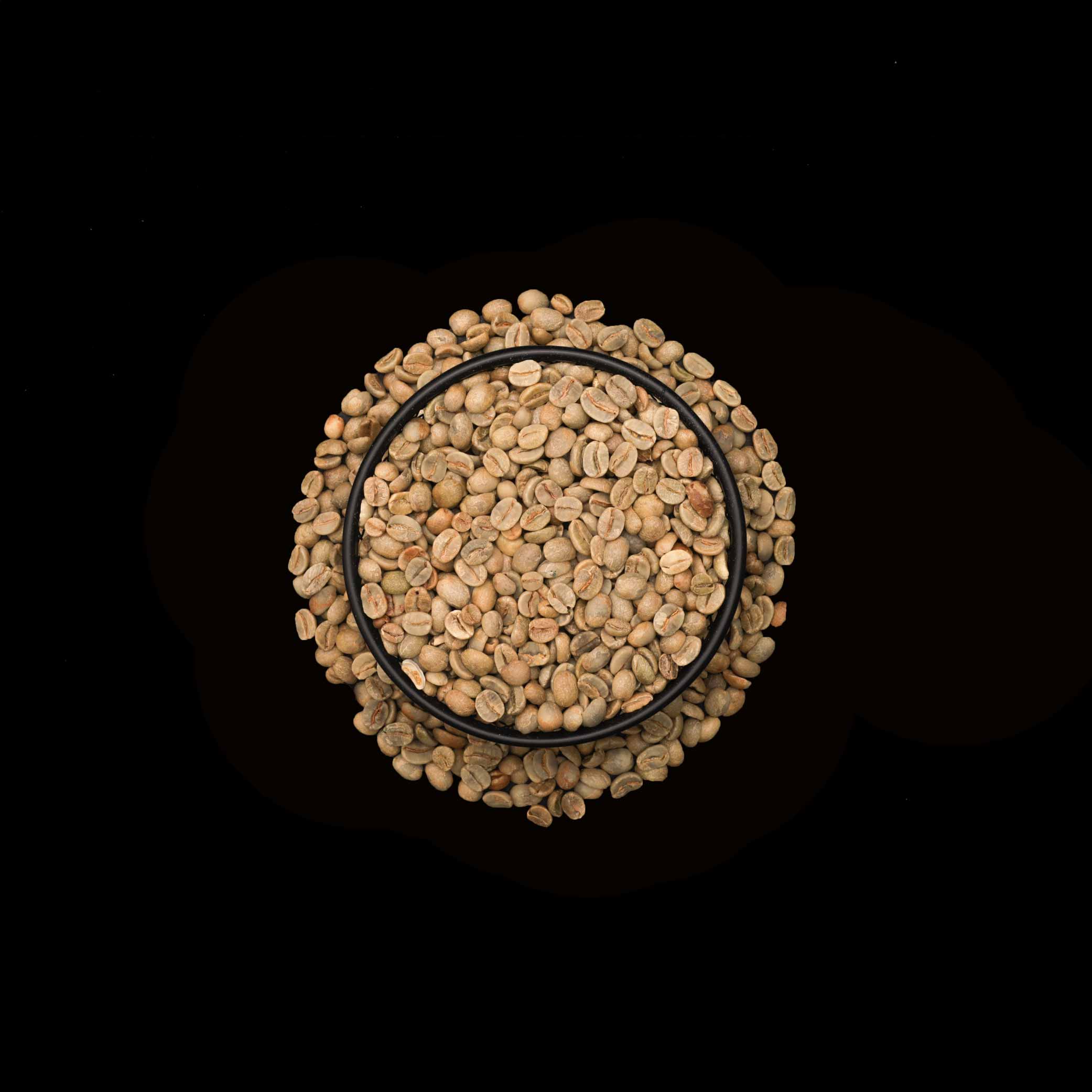 Roasted - Brazilian Cerrado FC 17/18