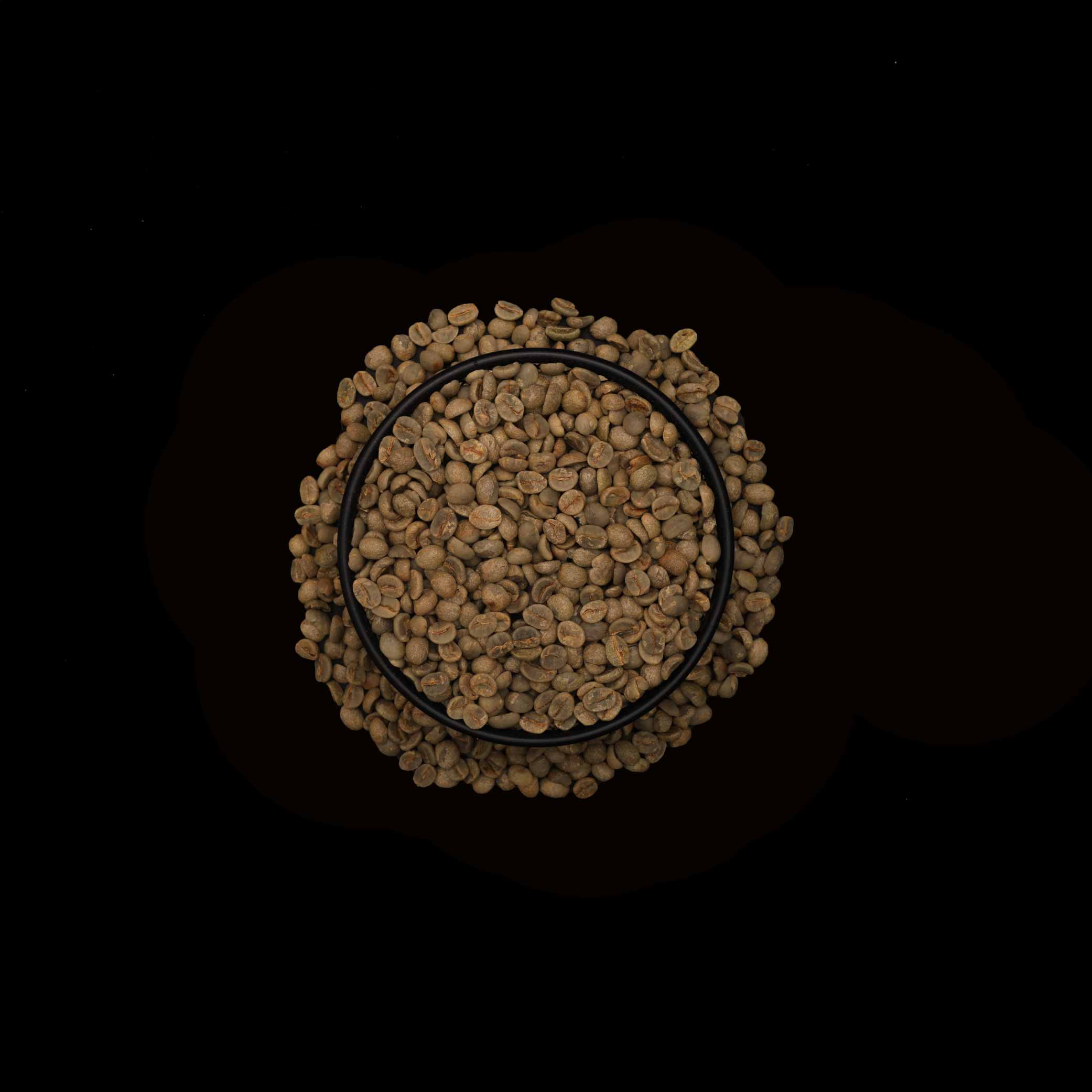 Roasted - Brazilian Bentivi 16up 84+