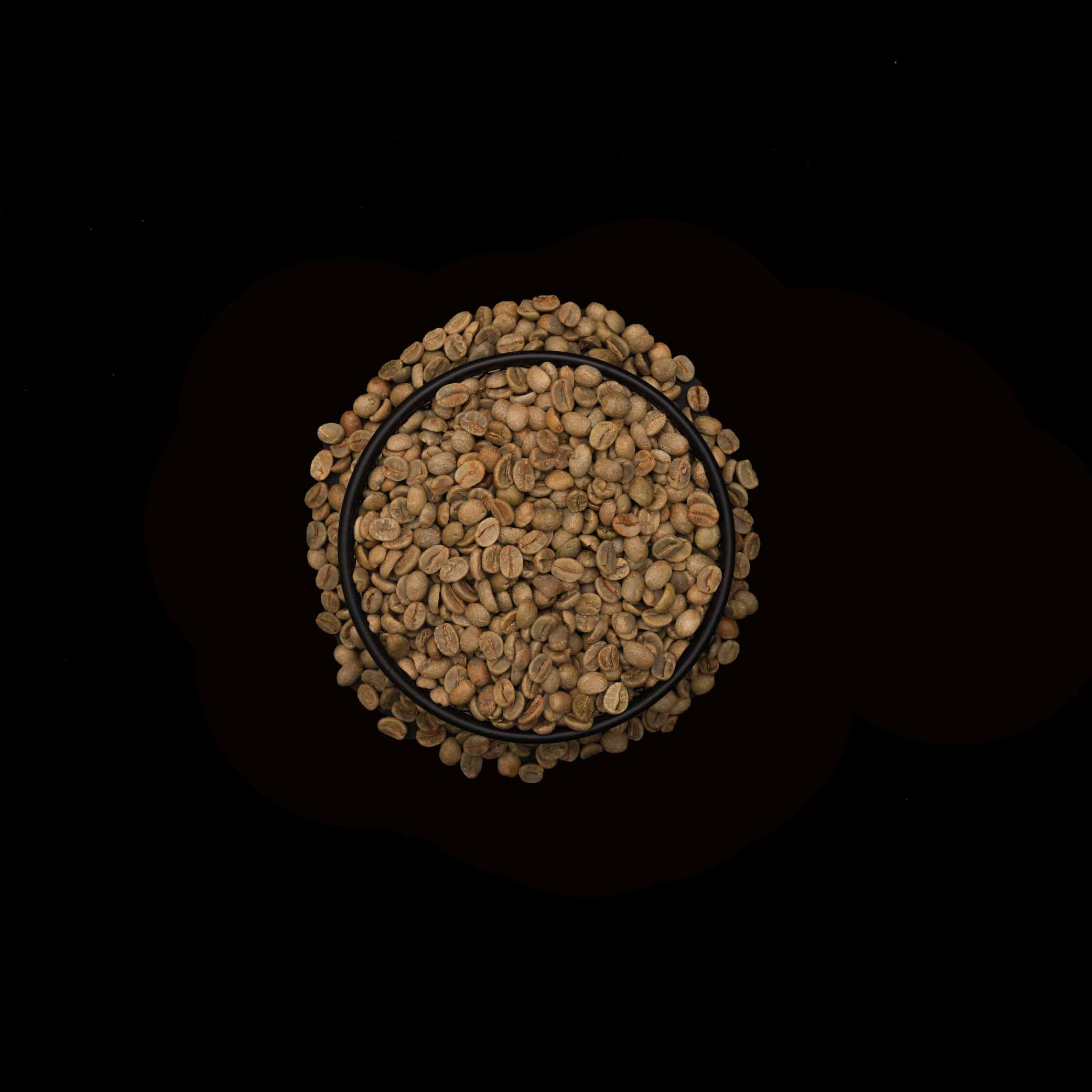 Roasted - Brazilian Sabia 16up 84+