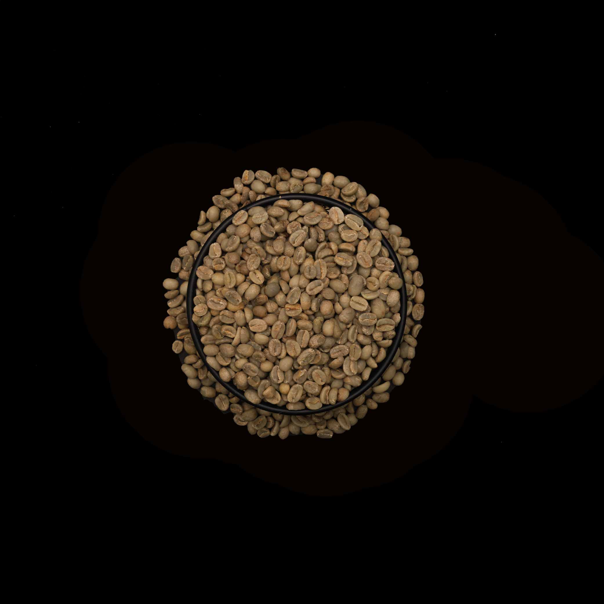 Roasted - Ethiopian Mocha Sidamo G2 Washed