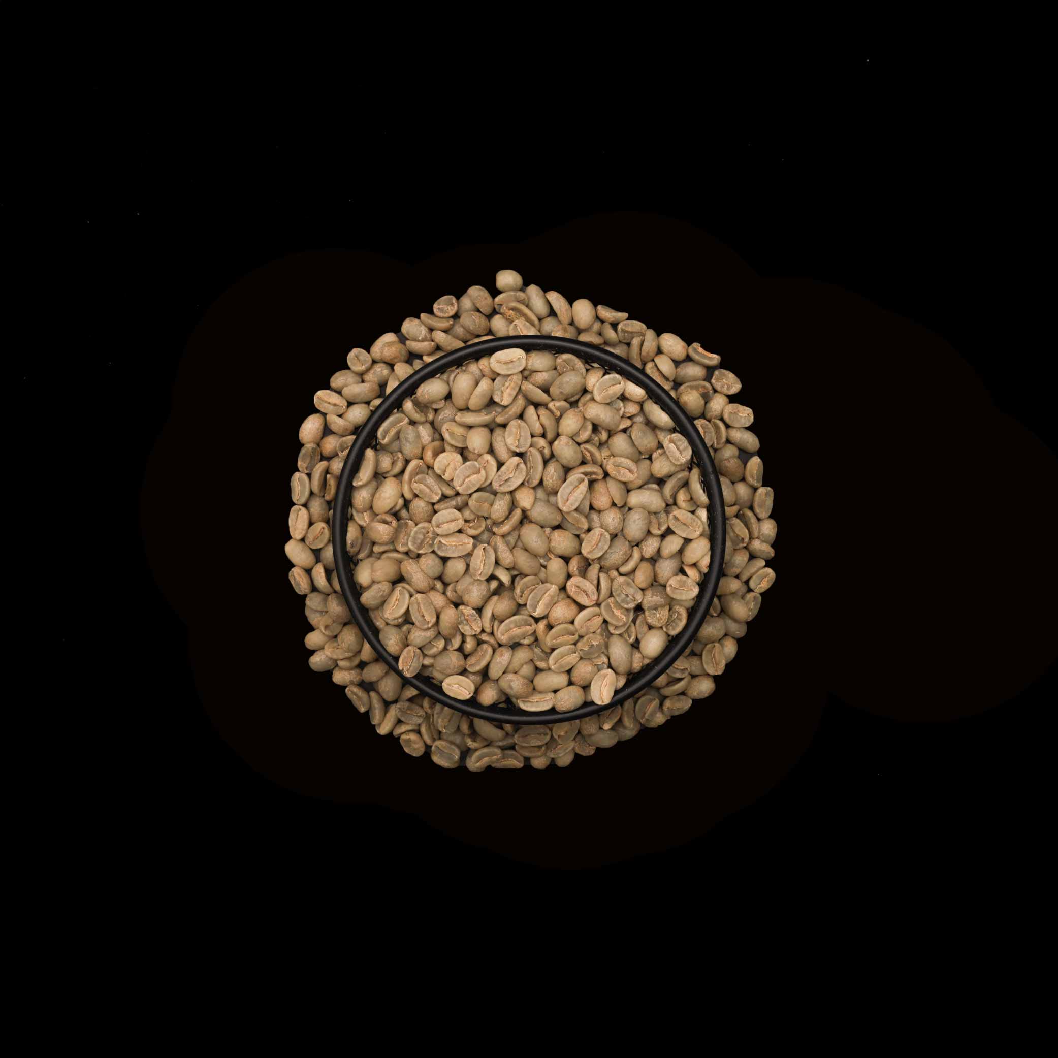 Roasted - Papua New Guinea Sigri A