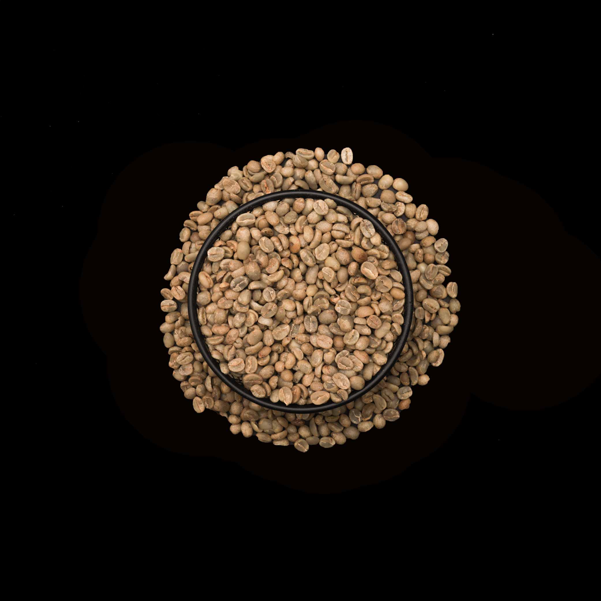 Roasted - Rwandan Red Bourbon Supreme 80+