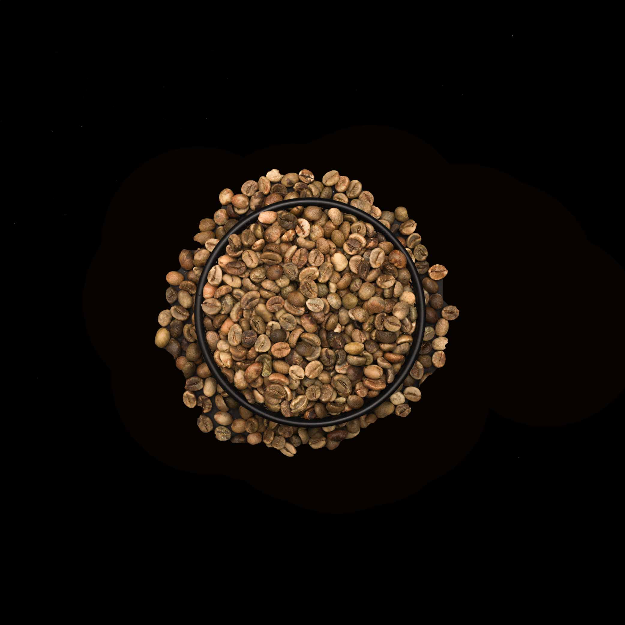 Roasted - Vietnamese Robusta 18+