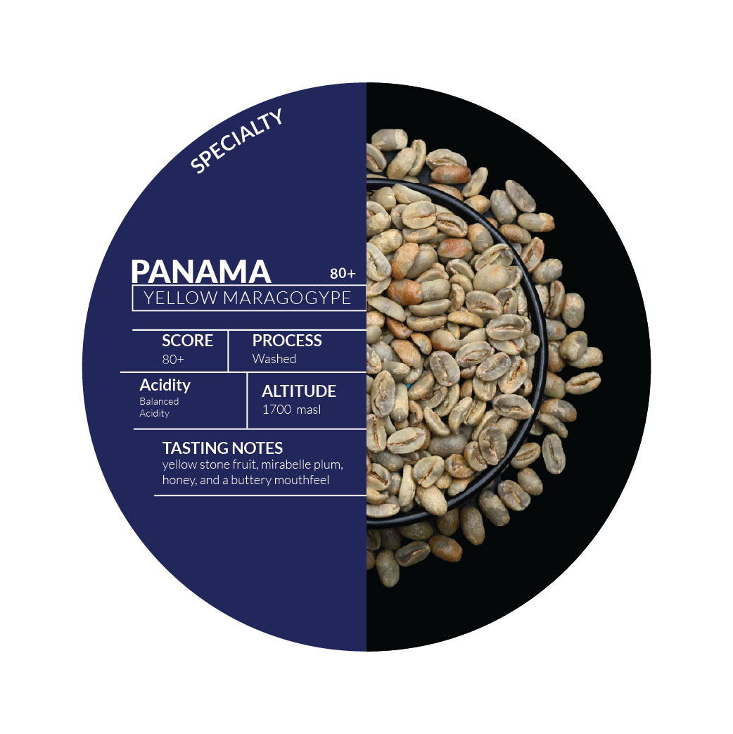 Panama Yellow Maragogype Natural C7