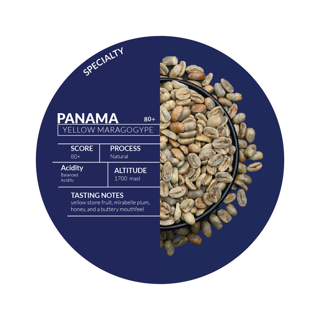 Roasted - Panama Yellow Maragogype Natural C7